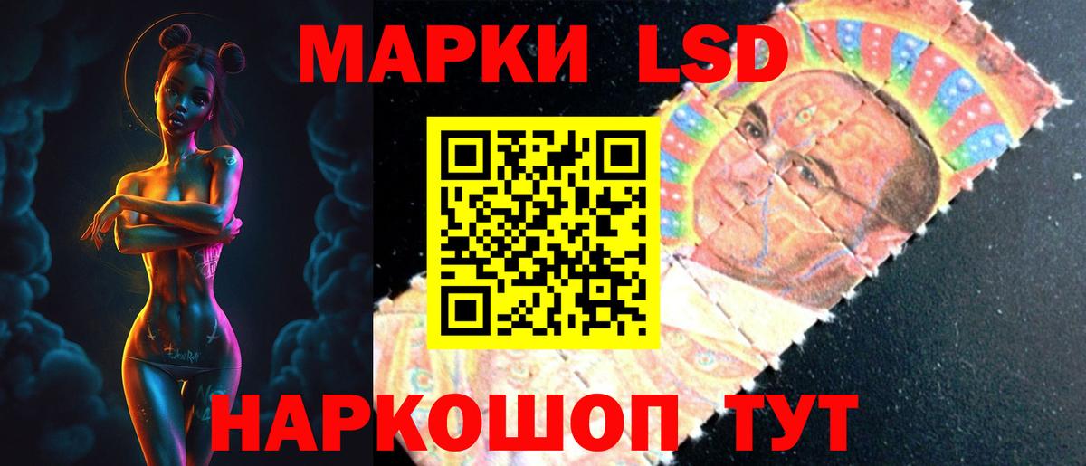 МЕФ Долгопрудный