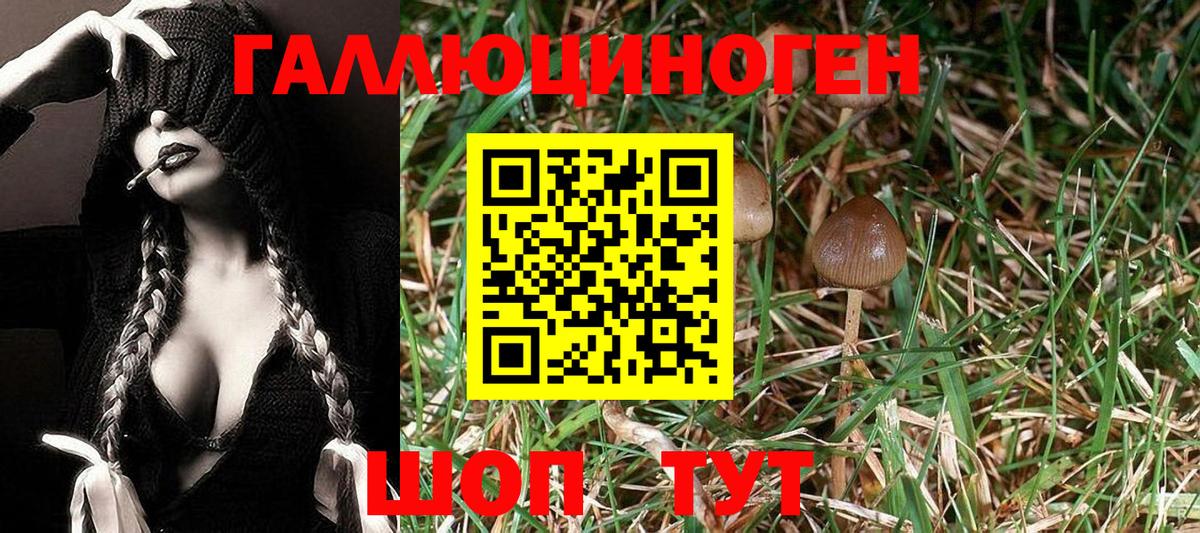 Галлюциногенные грибы ЛСД Долгопрудный