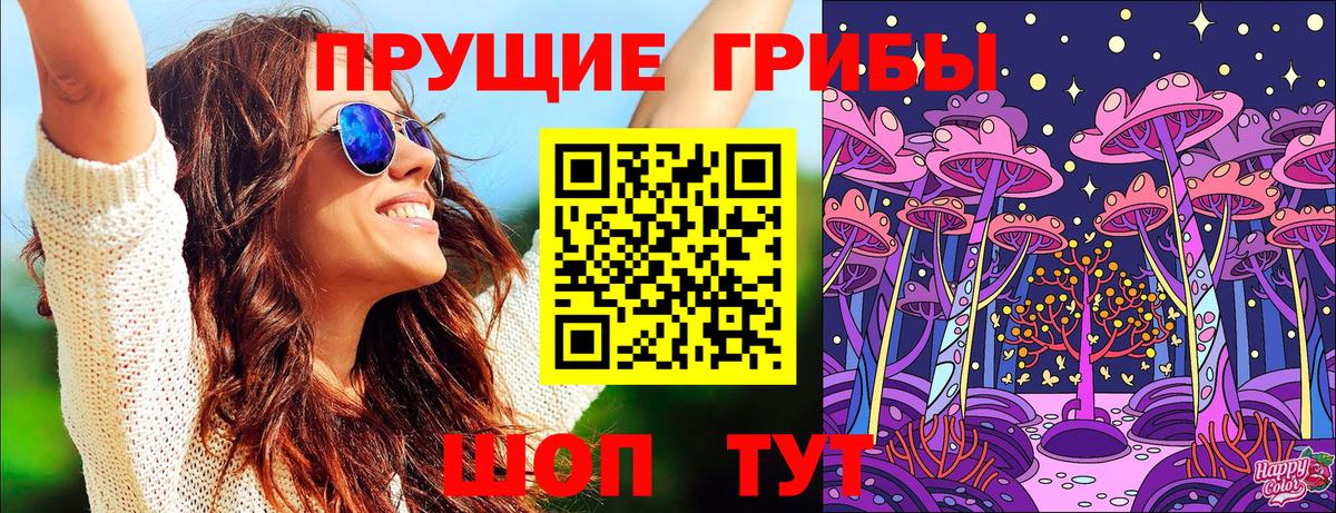 что такое наркотик  Вход с VPN  Долгопрудный  Псилоцибиновые грибы Psilocybine cubensis 